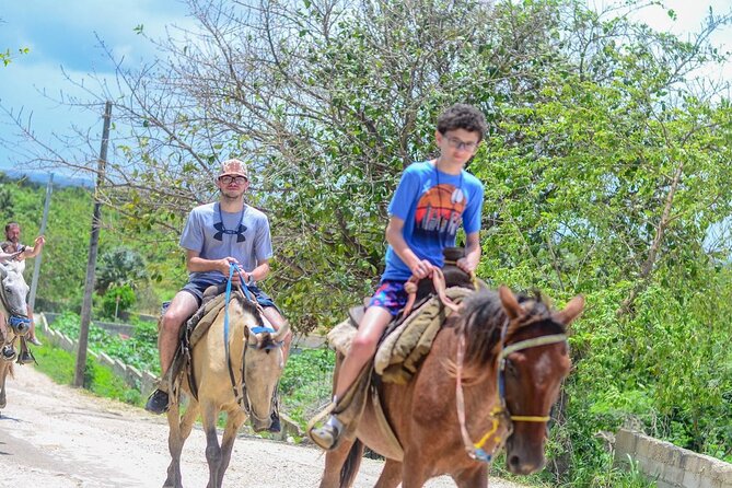 HORSEBACK - RIDE Through Punta Cana - Pickup Zones and Timing: How to Avoid the Most Common Headaches