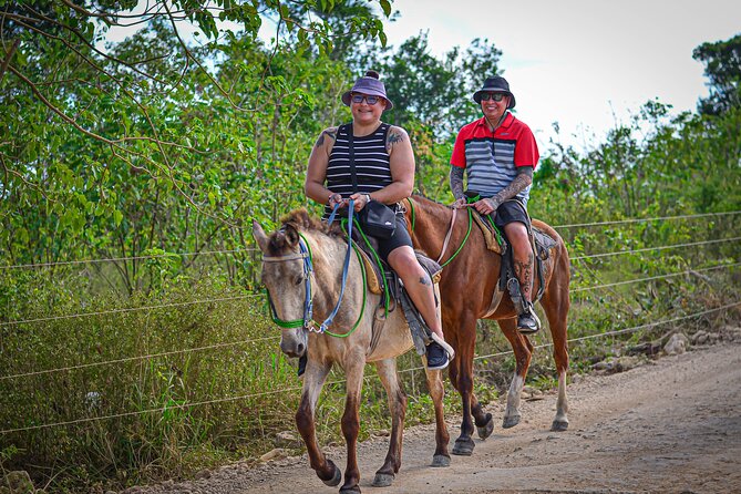 HORSEBACK - RIDE Through Punta Cana - The One Thing to Watch Closely: Horse Condition and Start Reliability