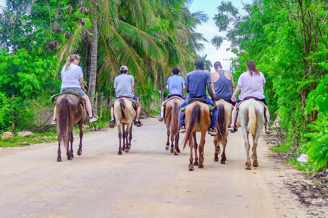 HORSEBACK - RIDE Through Punta Cana - Who This Punta Cana Horseback Ride Is Best For