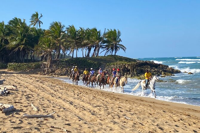 Horseback Riding Adventure Punta Cana - Key things to know before you saddle up