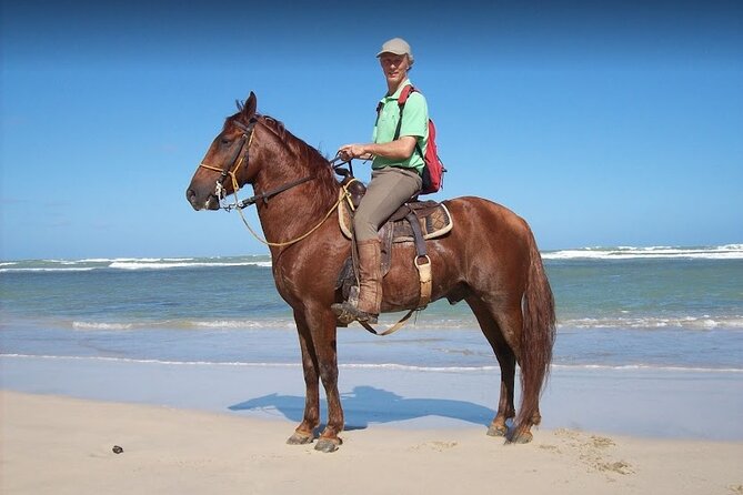 Horseback Riding Adventure Punta Cana - From pickup to first hoofbeats: your 2-hour flow