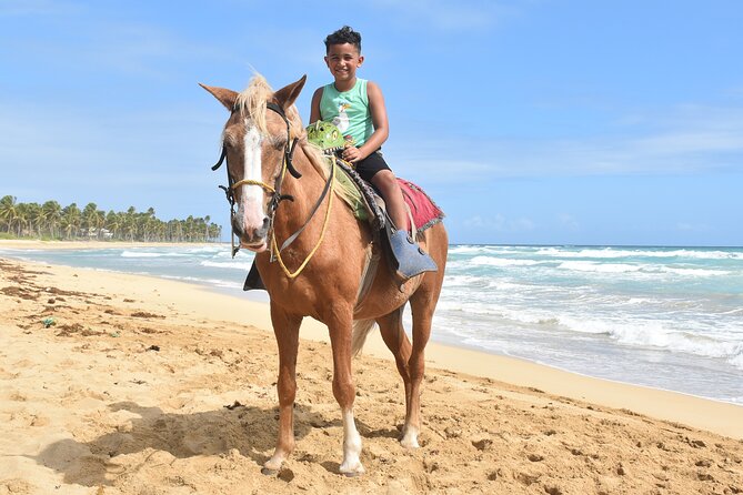 Horseback Riding Adventure Punta Cana - Wildlife, views, and the real “peaceful beach” factor