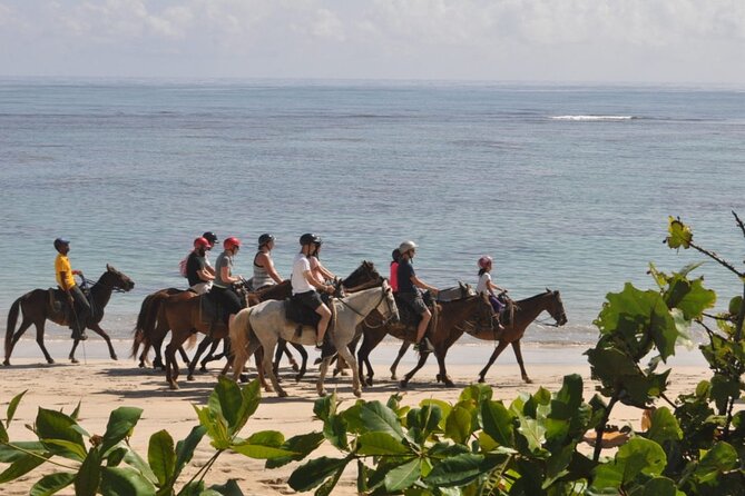 Horseback Riding Adventure Punta Cana - Photos and rum bottle: what’s included vs what’s extra