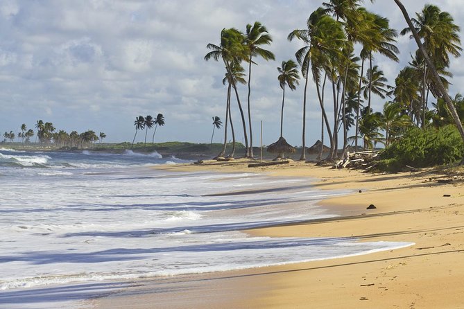 Horseback Riding Adventure Punta Cana - What to wear, bring, and how to ride comfortably