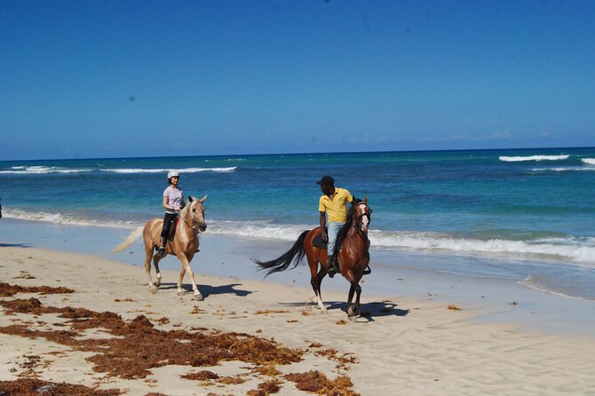 Horseback Riding Adventure Punta Cana - Who should book (and who might want to skip it)