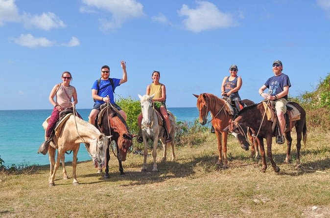 Horseback riding along Macao beach from Punta Cana - Who Should Book This Horseback Ride (and Who Might Skip It)