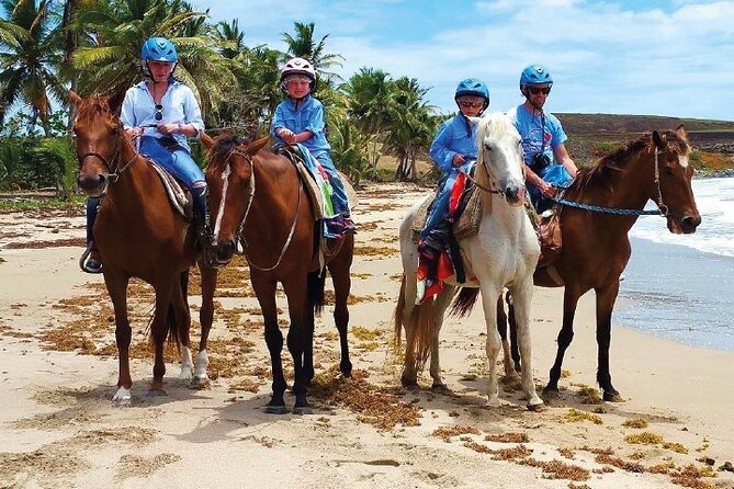 Horseback Riding along the Beach - Key takeaways before you go