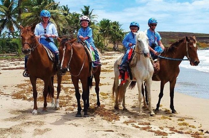 Horseback Riding along the Beach - What to Bring for a Beach Ride and Water Dip