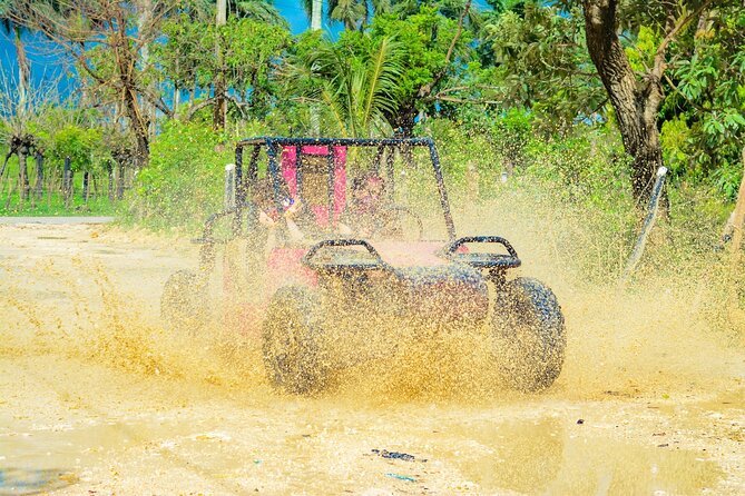 Horseback Riding and Buggy and Macau Cave and Beach Tour - Macao Beach Swim: A Real Break, Not Just a Photo Stop