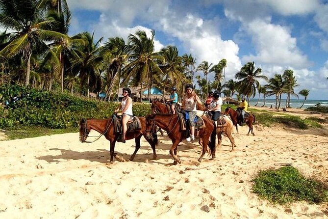 Horseback Riding at Macao Beach - Key things I’d plan around
