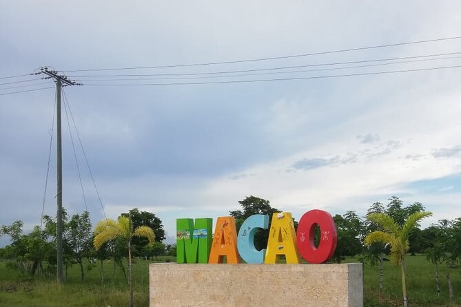 Horseback Riding at Macao Beach - Horseback Riding at Macao Beach: what the experience feels like