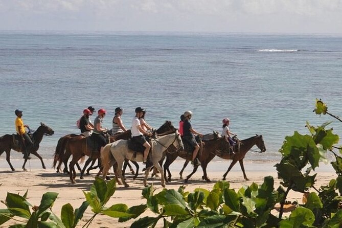 Horseback Riding at Macao Beach - Cigar and mamajuana tastings: small stops, local flavor