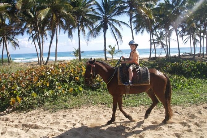 Horseback Riding at Macao Beach - Private pace plus a tight time window: good for family schedules