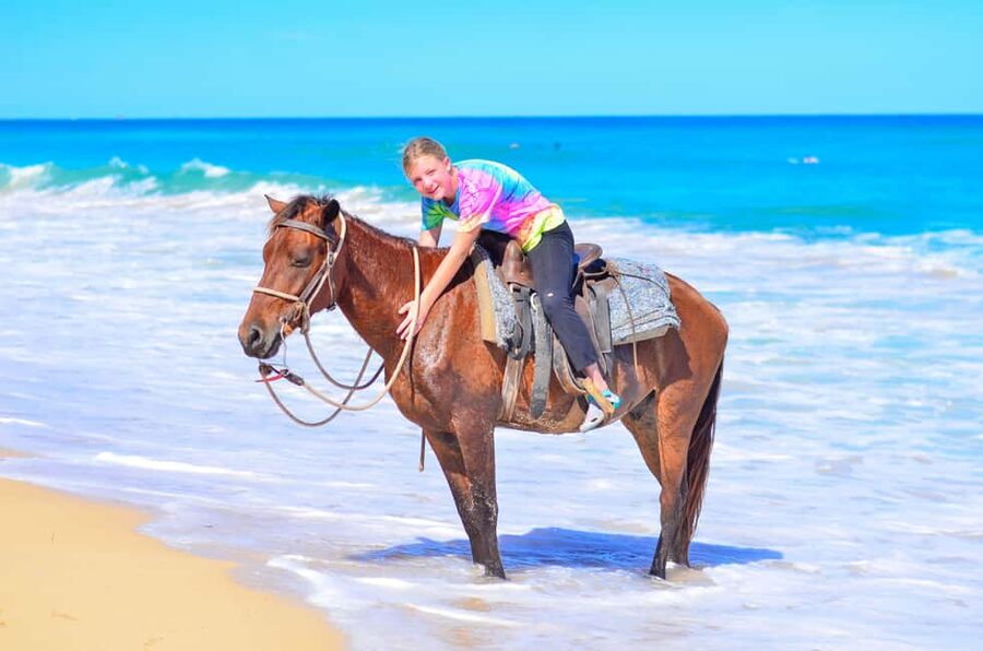 Horseback Riding at Macao Beach and River with Transfers - Macao Beach Horseback Riding in 3 Hours: What the Day Actually Feels Like