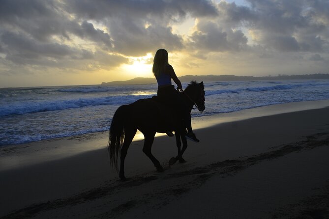 Horseback Riding at Sunrise on the Beach of Punta Cana - Key highlights you’ll feel right away