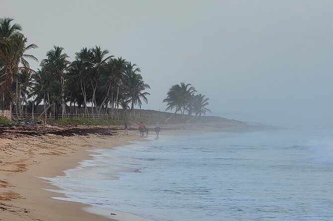 Horseback Riding at Sunrise on the Beach of Punta Cana - Price and value: is $83.19 worth it?