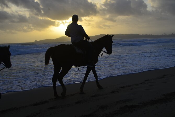 Horseback Riding at Sunrise on the Beach of Punta Cana - Who should book this sunrise ride, and who should pause