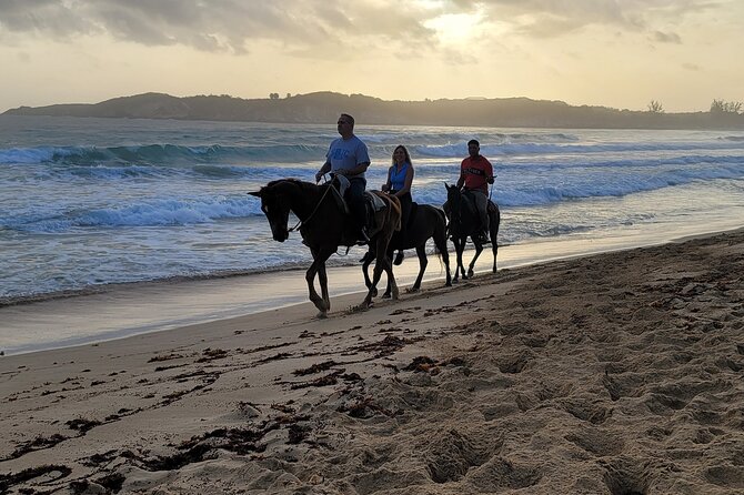 Horseback Riding at Sunrise on the Beach of Punta Cana - The 1.5-hour ride: what you’ll actually do with the horses