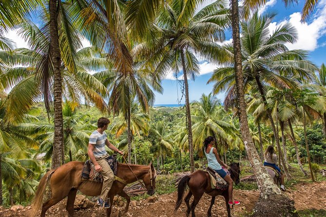Horseback Riding in the Dominican Jungle - Your 3-Hour Jungle Ride Starts at Rancho Caribeño in Uvero Alto