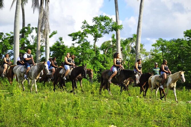 Horseback Riding in the Dominican Jungle - Price and Value: What $69.99 Really Buys in Punta Cana
