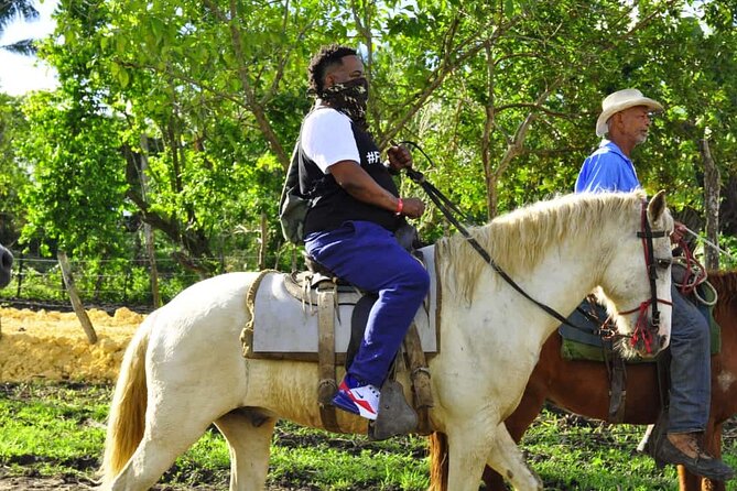 Horseback Riding in the Dominican Jungle - Should You Book This Horseback and Saona Combo?