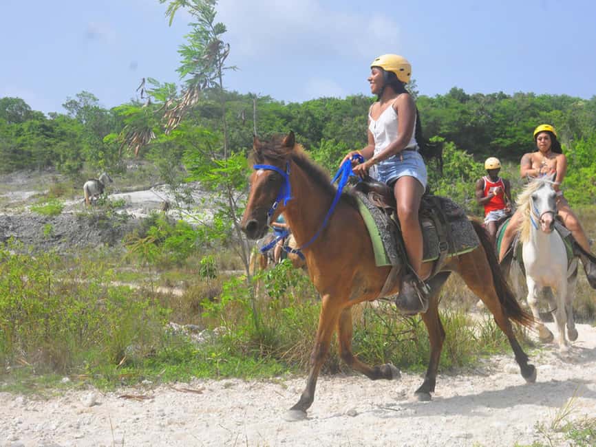 Horseback Riding Macao Beach Experience Paradise onHorseback - Getting Picked Up in Punta Cana or Bávaro (and How to Avoid Delays)