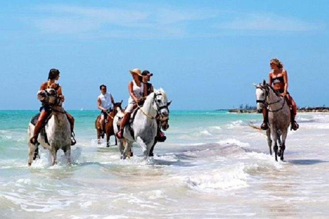 Horseback Riding on the Beach in Punta Cana (One Hour) - Where you’ll ride: Bavaro Beach, with a forest detour