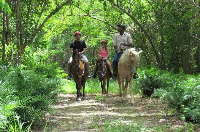 Horseback Riding on the Beach in Punta Cana (One Hour) - Group size: why max 15 travelers helps your ride