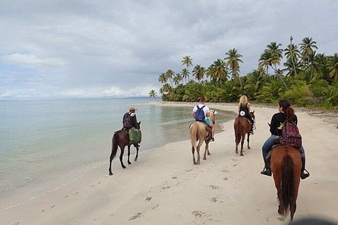 Horseback Riding on the Beaches of Punta Cana - Macao Beach itself: what makes this stretch worth choosing