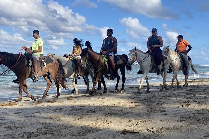 Horseback Riding on the Beaches of Punta Cana - Who this tour suits best (and who might want a different activity)