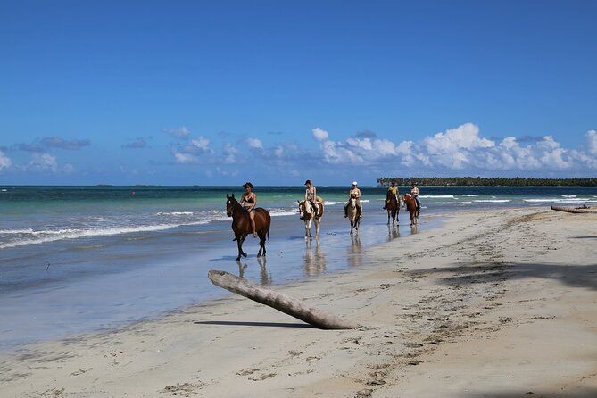 Horseback Riding on the Beaches of Punta Cana - Pickup and a mobile ticket: small conveniences that help