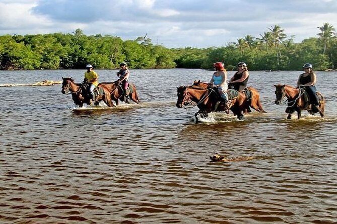Horseback Riding to Maimon River from Punta Cana - Key takeaways before you go