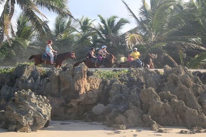 Horseback Riding to Maimon River from Punta Cana - Why Riding to the Maimon River Mouth Is Worth the Effort