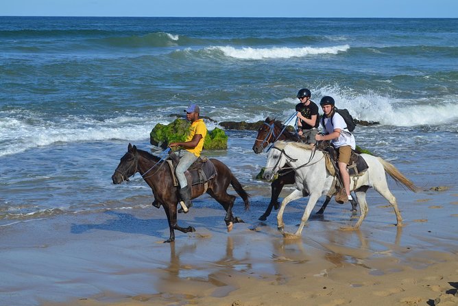 Horseback Riding Tour Adventure on the Beach - The pre-ride check: instructions, pace, and safety basics