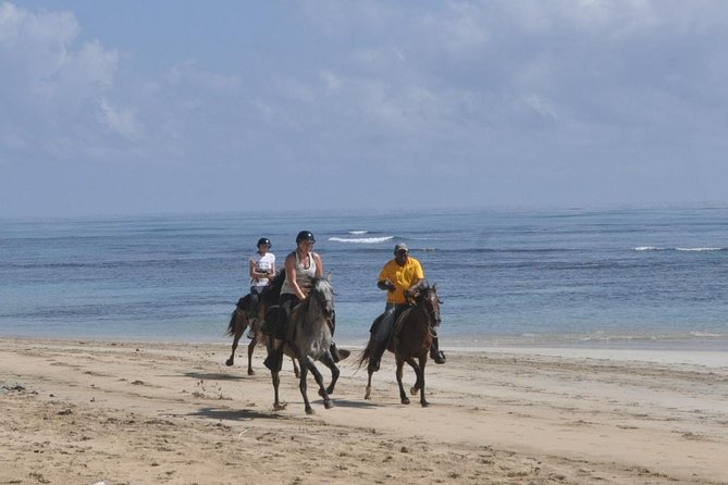 Horseback Riding Tour Adventure on the Beach - Duration, group size, and who this fits best