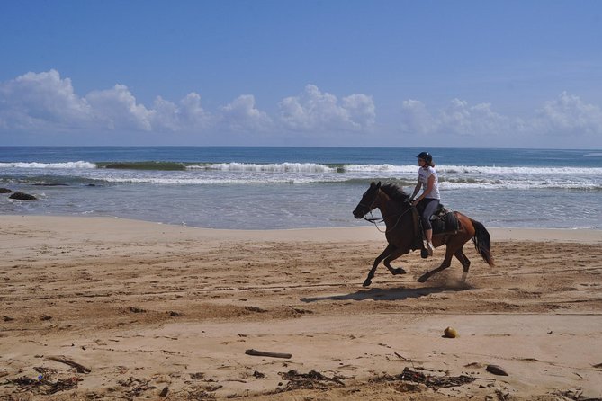 Horseback Riding Tour Adventure on the Beach - Price: is $99 worth it?