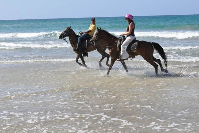 Horseback Riding Tour on the Beaches of Punta Cana - Who Should Book This (and Who Should Slow Down)
