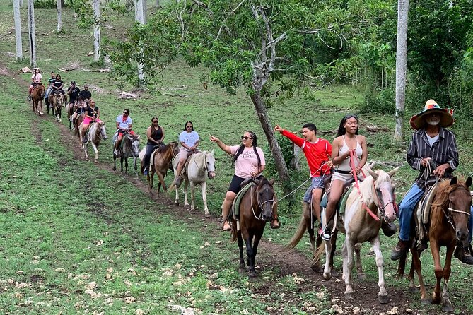 Horseback Riding with Pickup from Punta Cana - Key highlights worth your time
