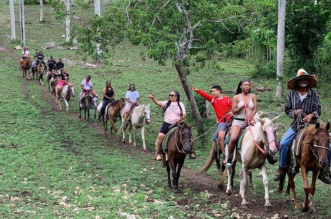 Horseback Riding with Pickup from Punta Cana - Pickup from Punta Cana: convenience that actually changes your day