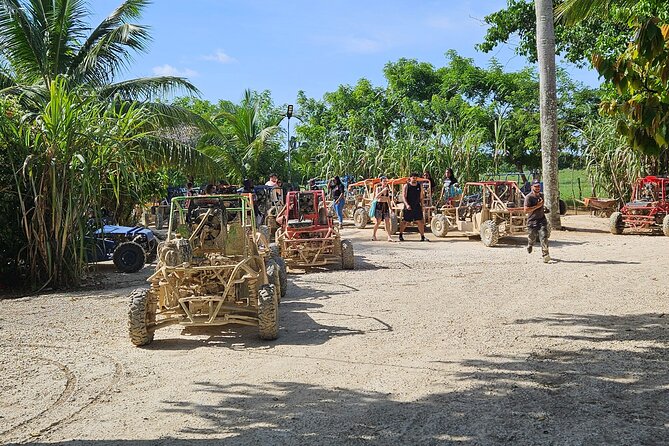 Horses, Buggy, and plantation in Chocaci Ranch - Key highlights you’ll remember