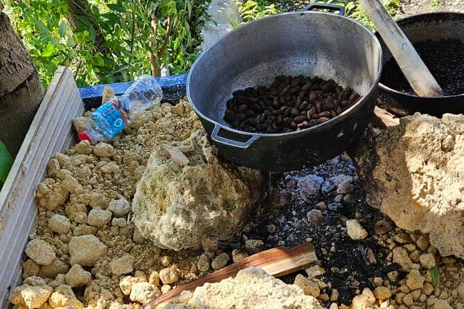 Horses, Buggy, and plantation in Chocaci Ranch - Coffee you grind and brew: why this tasting hits different