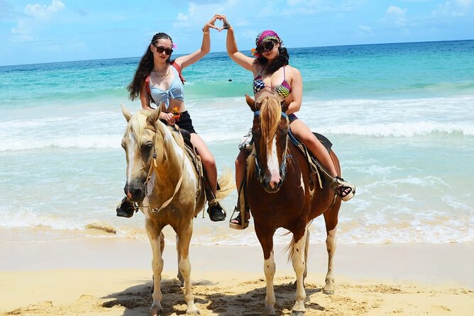 Horses, Buggy, and plantation in Chocaci Ranch - Getting to the ranch: pickup, mobile ticket, and staying comfortable