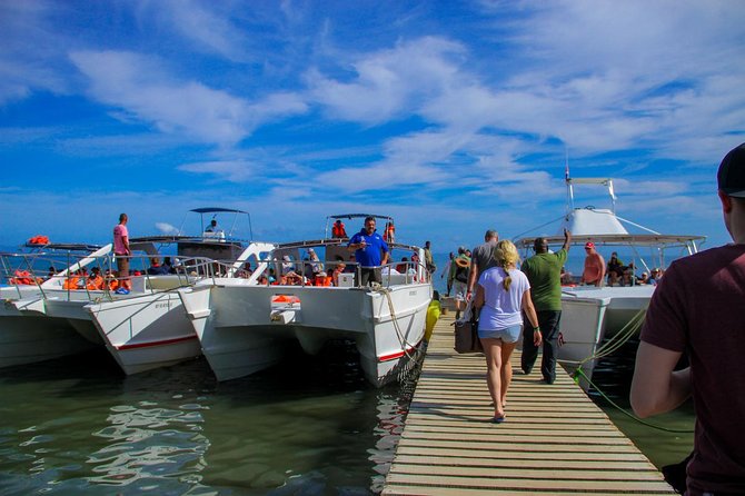 Humpback whales Watching + Samana Eco-Tour - Who this tour is best for