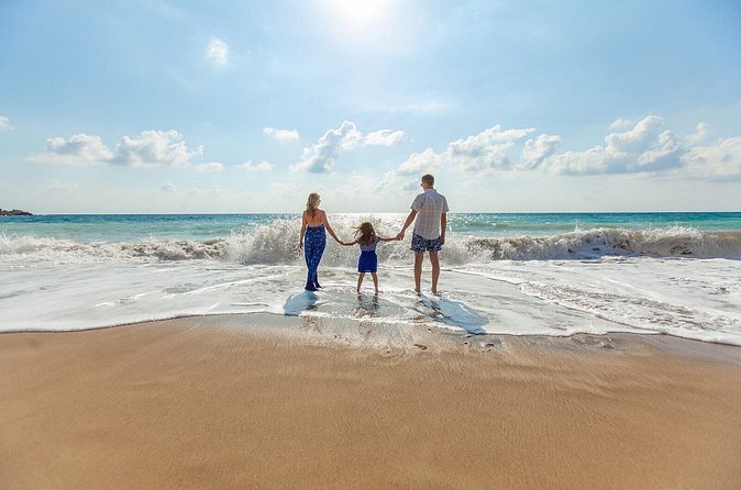 Hyatt Zilara & Ziva Cap Cana - Round Trip Shuttle - Punta Cana Airport - Return Transfer: Getting Back Without the Last-Minute Panic