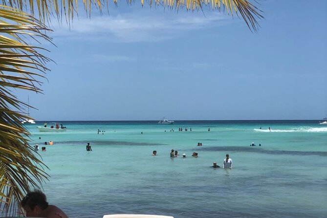 Iberostar Grand Bavaro - Round Trip Shuttle - Punta Cana Airport - What “Private Round-Trip” Means in Real Terms