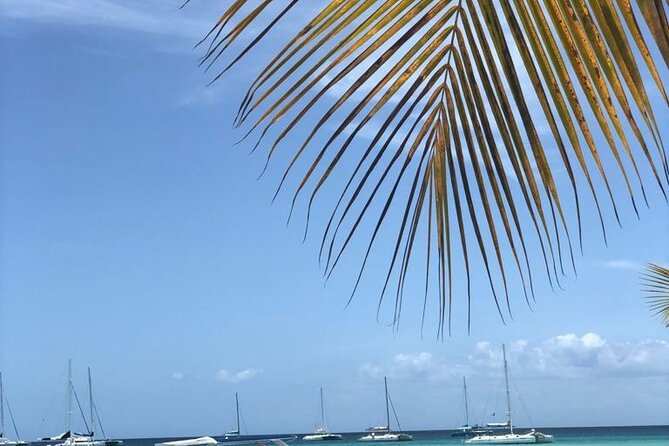 Iberostar Grand Bavaro - Round Trip Shuttle - Punta Cana Airport - Round-Trip Return: Getting Back to the Airport Without the Last-Minute Rush