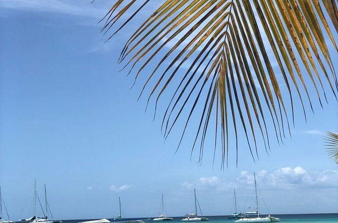 Iberostar Grand Bavaro - Round Trip Shuttle - Punta Cana Airport - Group Size Rules That Affect Your Booking Decision