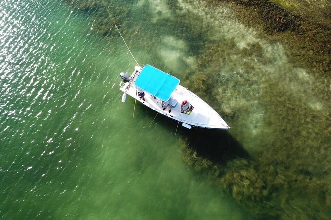 Inshore & Fly Fishing Punta Cana Private charter at Marina Cap Cana - One thing to think about first