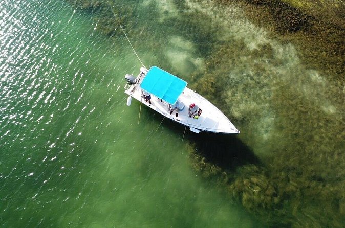Inshore & Fly Fishing Punta Cana Private charter at Marina Cap Cana - Snorkeling between catches: the part that can feel great