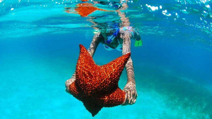 isla saona día completo - Key points